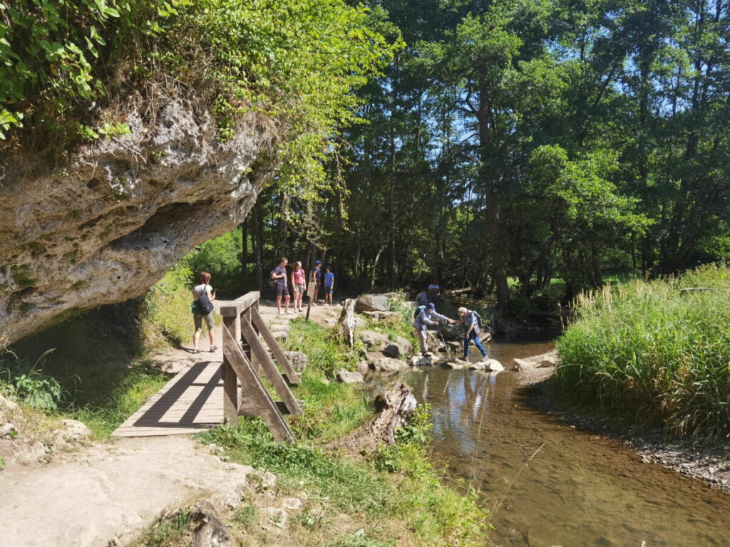 Am Fuße des Dreimühlen Wasserfall führt der Eifel Steig vorbei, daneben fließt der Ahbach