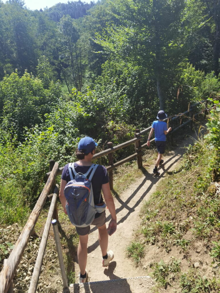 Die letzten Meter vom breiten Weg hinunter an den Dreimühlen Wasserfall