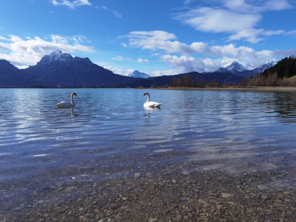 Reiseziele Deutschland - der Forggensee